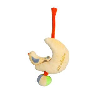 Pigeon Musical Pull String