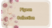 pigeon_collection